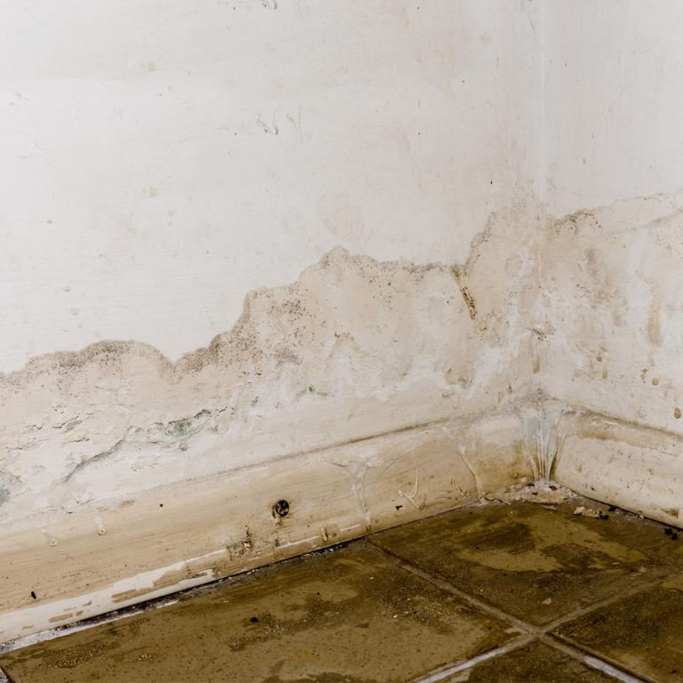 crawlspace_03