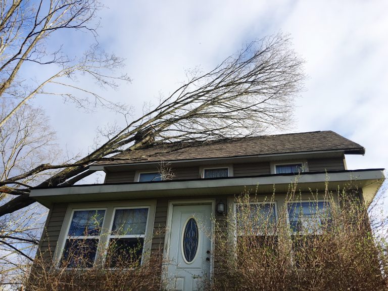 low-angle-view-bare-tree-building-against-sky