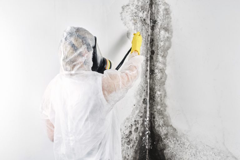 A professional disinfector in overalls processes the walls from mold. Removal of black fungus in the apartment and house. Aspergillus