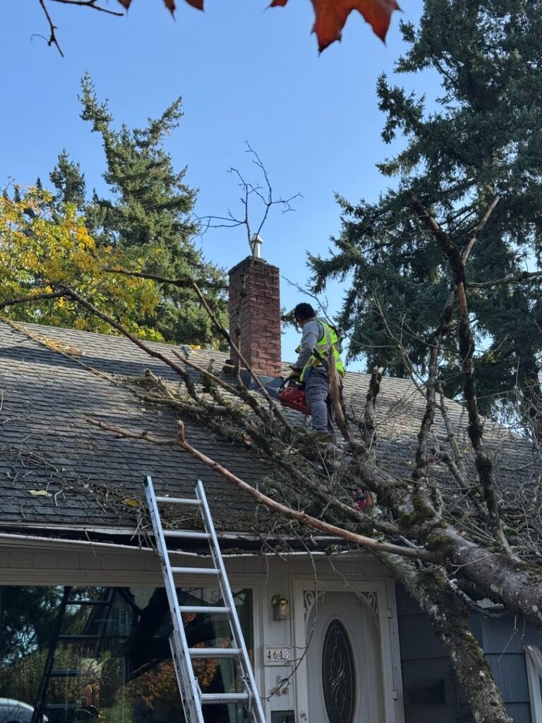 Technician on roof removing tree debris